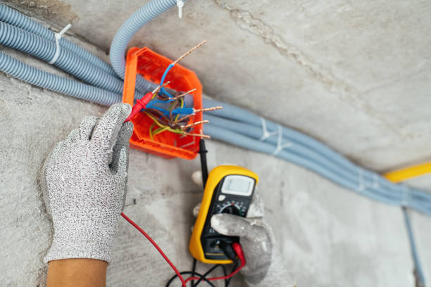 Best Electric Panel Repair  in Frostburg, MD